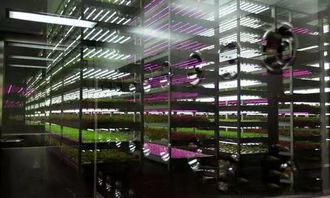 經濟見底回升中的新經濟亮點 生物制劑研發引領產業升級